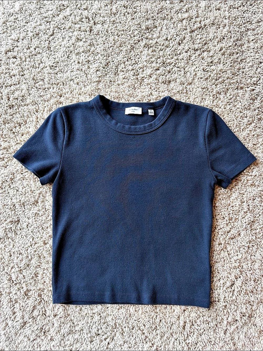 Aritzia Sunday Best Little Ribbed T-Shirt